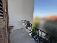 Недвижимость Трёхкомнатная квартира, Центр: 14