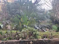 Недвижимость Двухкомнатная квартира, Центр: 13