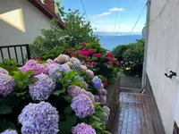 Недвижимость Двухкомнатная квартира, Центр: 22