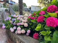 Недвижимость Двухкомнатная квартира, Центр: 25