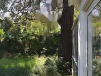 Недвижимость Коттедж 213 м², Центр, Опатия: 27