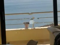 Недвижимость Двухкомнатная квартира в Центре: 9