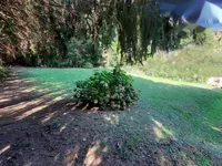 Недвижимость Участок для застройки в Тацене: 5