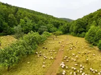 Недвижимость Дом, Доляня Вас: 8