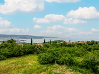 Недвижимость Дом, Сеча: 6