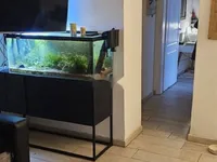 Недвижимость Четырехкомнатная квартира, Центр, Опатия: 16