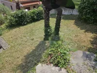 Недвижимость Четырехкомнатная квартира в Центре: 23