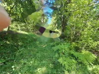 Недвижимость Дом в Великом Требелеве: 4