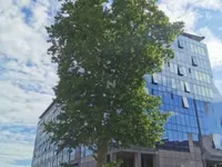 Недвижимость Офисное помещение с ресепшеном: 4