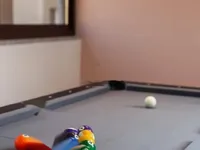 Недвижимость Трёхкомнатная квартира в Центре: 4