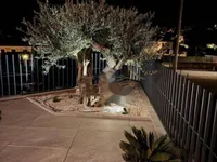 Недвижимость Четырёхкомнатная квартира в Опатии: 24