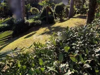 Недвижимость Четырехкомнатная квартира в центре: 9