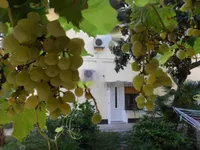 Недвижимость Трехкомнатная квартира, центр: 23