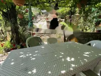 Недвижимость Двухкомнатная квартира Центр: 2