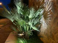 Недвижимость Семейный дом 641 м², Центр: 6