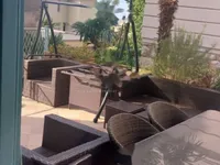 Недвижимость Трёхкомнатная квартира, Центр: 3