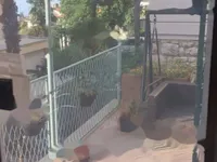 Недвижимость Трёхкомнатная квартира, Центр: 4