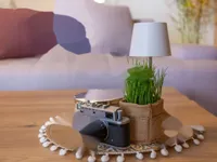 Недвижимость Трехкомнатная квартира Запад: 13