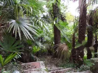 Недвижимость Четырехкомнатная квартира, Центр, Опатия: 18