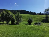 Недвижимость Усадьба Копривник в Бохине, солнечная сторона Альп: 8