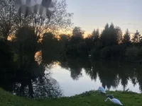 Недвижимость Дом на Черной Веси: 2