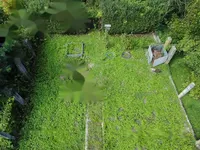 Недвижимость Дом, Трново: 13