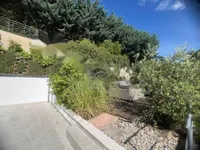 Недвижимость Трёхкомнатная квартира, Центр: 15