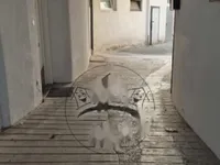 Недвижимость Офисное помещение в Центре: 4