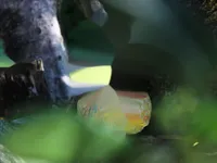 Недвижимость Дом, другое Помьян: 21