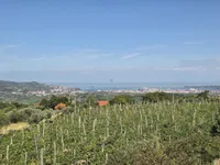 Недвижимость Дом, Мареджиğe: 2