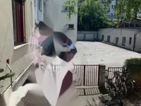 Недвижимость Квартира, 2-комн., Любляна Центр: 16