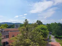 Недвижимость Квартира, 1-комнатная, Шишка: 6