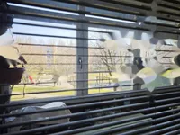 Недвижимость Трёхкомнатная квартира Дравле: 13