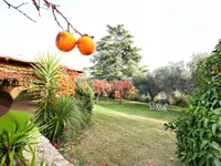 Недвижимость Дом в Портороже: 1