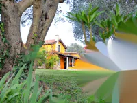 Недвижимость Дом в Портороже: 4