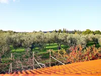 Недвижимость Дом в Портороже: 17