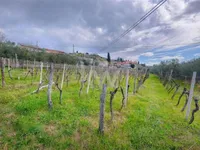 Недвижимость Дом, Парецаг: 9