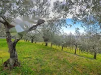 Недвижимость Дом, Парецаг: 12