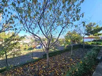 Недвижимость Дом, Копер, Семедела: 8