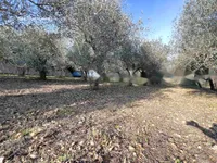 Недвижимость Двухэтажный дом Бошамарин: 19