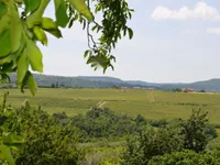 Недвижимость Дом, Побеги: 19