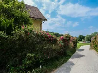 Недвижимость Дом, Добрунье: 2