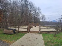 Недвижимость Усадьба Кметияново Пиршенбрег: 2