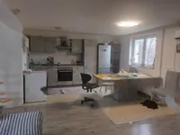 Недвижимость Дом на два хозяина в Чернелаваце: 8