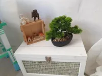 Недвижимость Дом с террасой Новый Пиран: 5