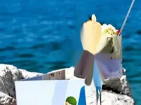 Недвижимость Дом с террасой Новый Пиран: 9