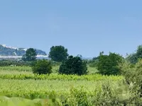 Недвижимость Дом, Драгонья: 1