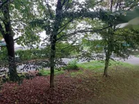 Недвижимость Трёхкомнатная квартира Вевче: 17