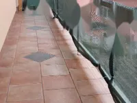 Недвижимость Квартира, 4 комнаты, Поле: 20