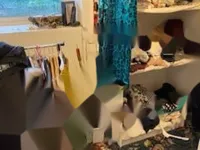 Недвижимость Квартира, 4 комнаты, Роштна Долина: 12